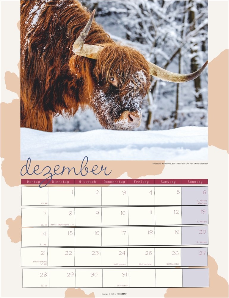 Kuh Kalender Kuh Kalender