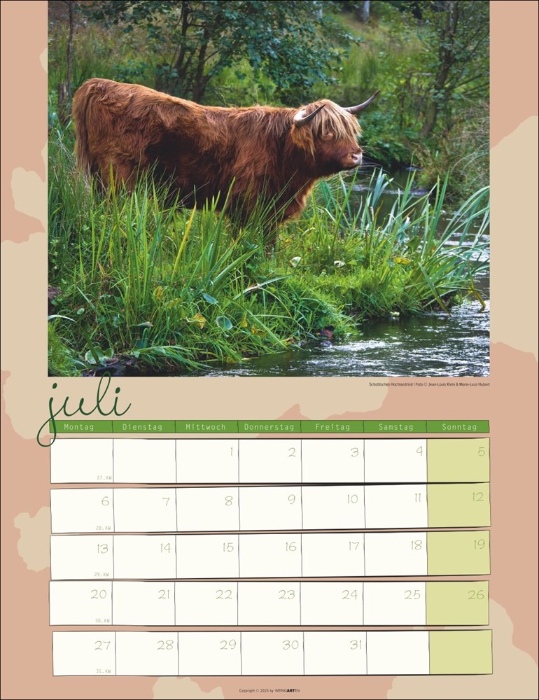 Kuh Kalender Kuh Kalender