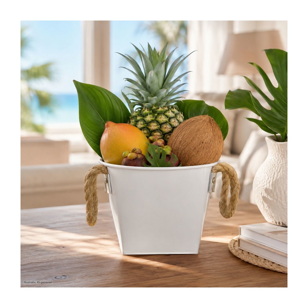 Tropical Garden