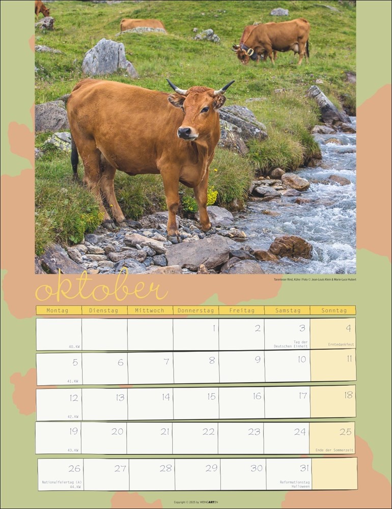 Kuh Kalender Kuh Kalender