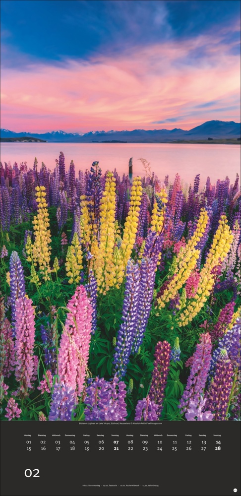 AvH Colourful Nature