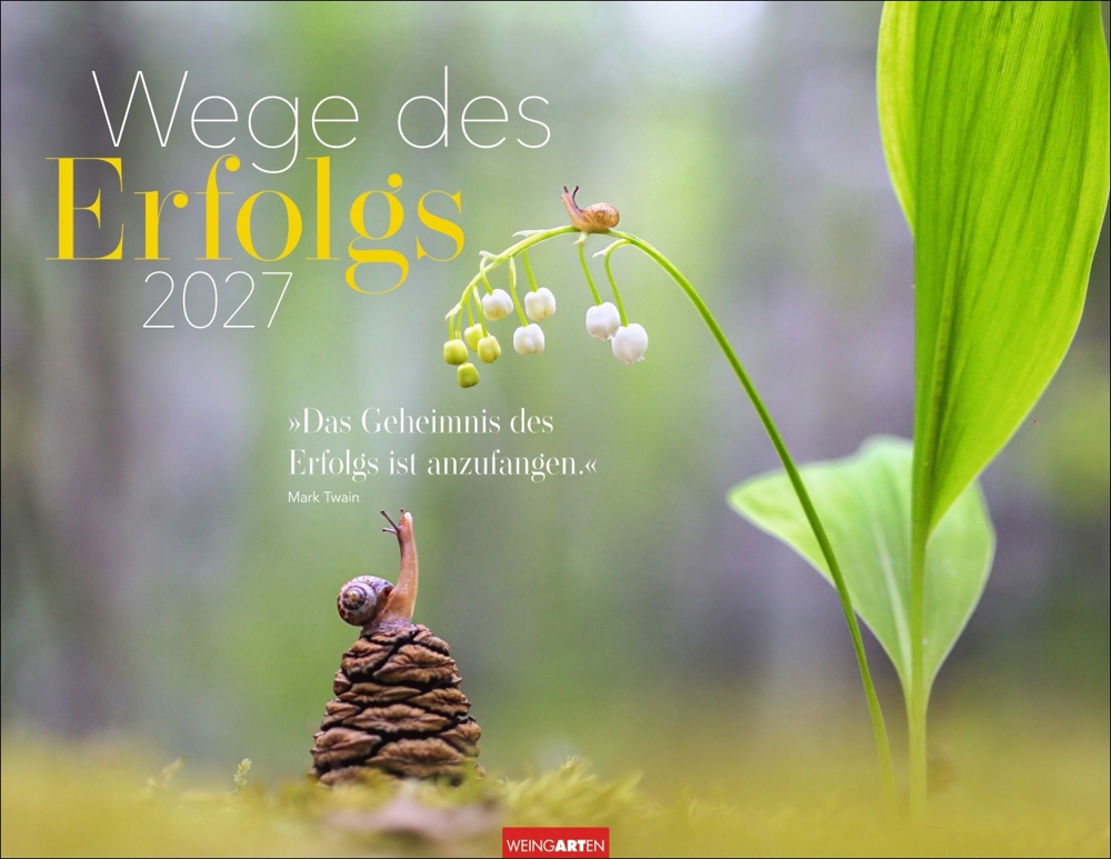 Wege des Erfolgs
