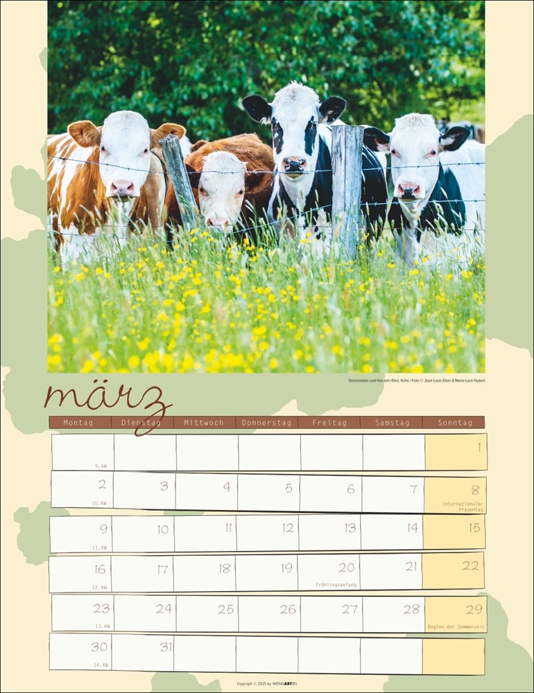 Kuh Kalender Kuh Kalender