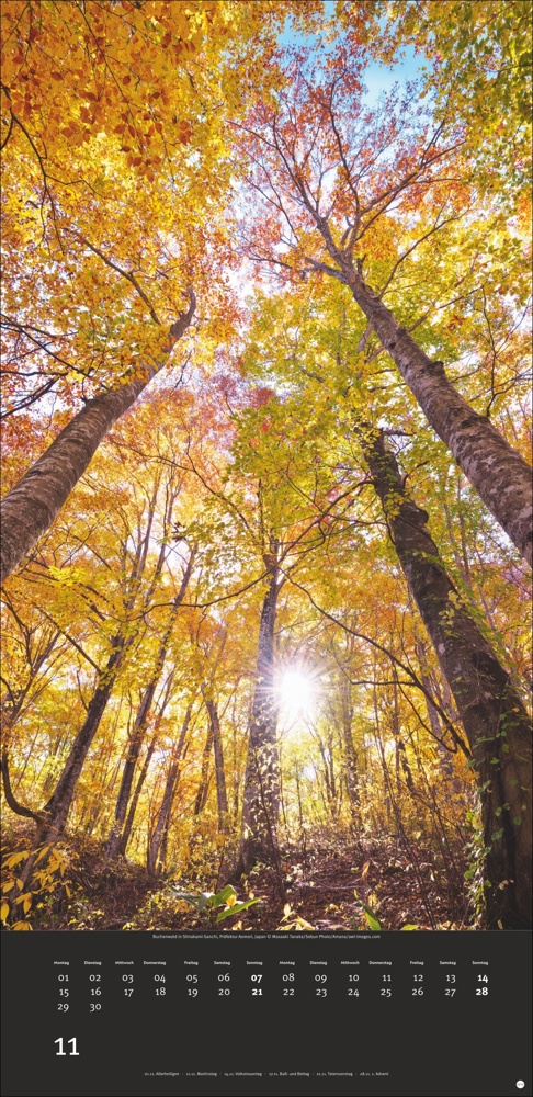 AvH Colourful Nature