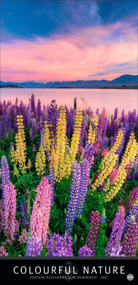 AvH Colourful Nature